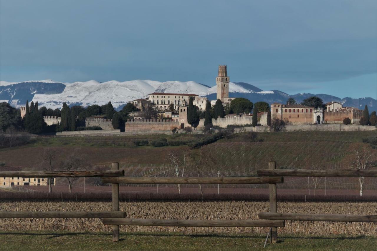 Vila Casa Nonna Teresa Tovena Exteriér fotografie